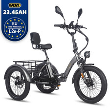 Triciclo elettrico FAFREES F20