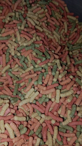 Alimentazione per pesci - per,