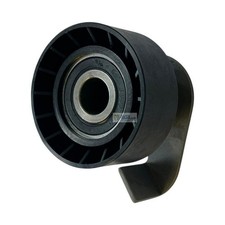 Tendicinghia galoppino