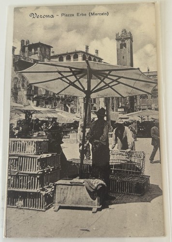 Cartolina verona il - di,