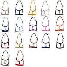 Cavalletto puledro nylon