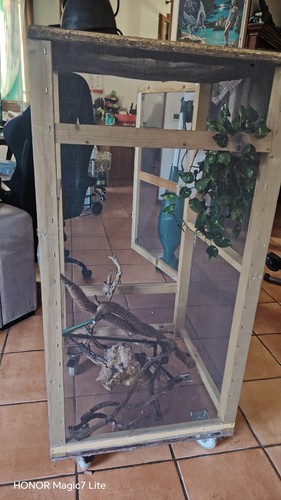 Terrario legno marrone con - legno,