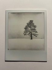 1 x Polaroid, edizione