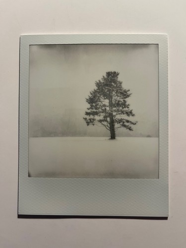 Polaroid edizione - 1, polaroid,
