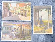 64555 Cartolina Postale Set Di