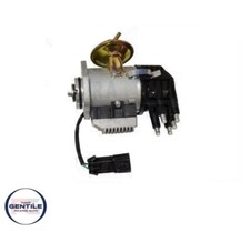 SPINTEROGENO COMPLETO MOTORI