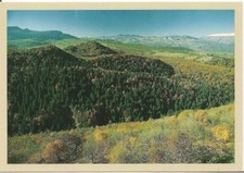 ABETINA DI ROSELLO - OASI NATURALE - NV