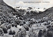 PARCO NAZIONALE D'ABRUZZO VALLEFREDDA VIAGG.1953
