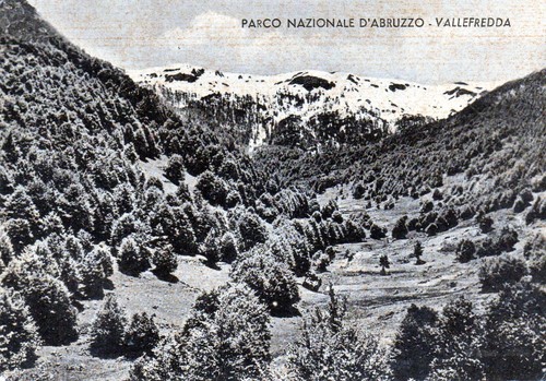 Parco nazionale abruzzo - nazionale, d'abruzzo