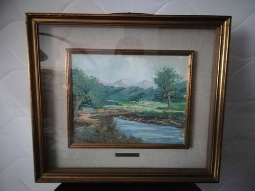 Quadro dipinto ciardi - m.,