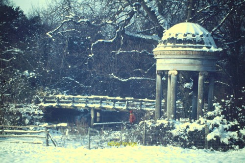 Photo 6x4 winter clandon - photo,