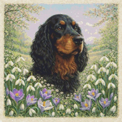 Cane cucciolo gordon setter - cane,