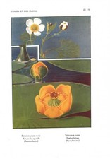 Stampa antica FIORI LIBERTY