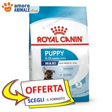 Royal Canin Dog → Puppy Maxi
