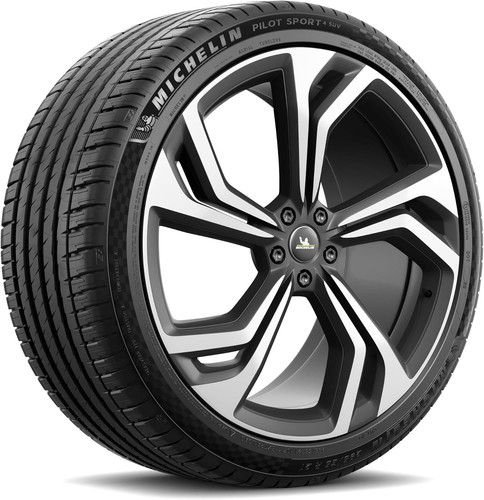 Gomme pneumatici pilot - pilot, sport