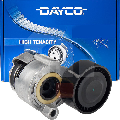 Tendicinghia servizi dayco - servizi,