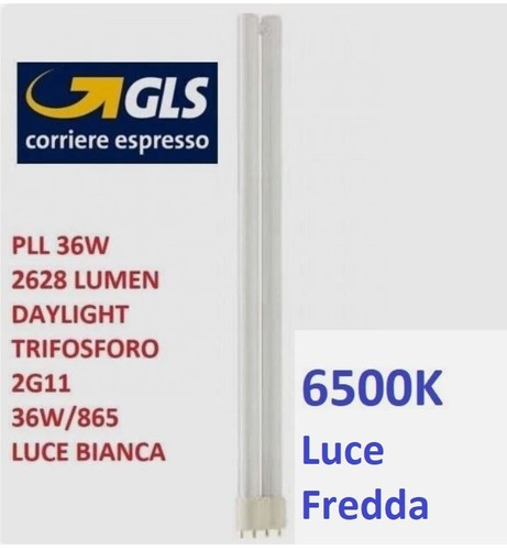 Lampada lampadina neon - lampadina,