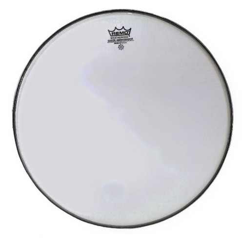 Remo ambassador tom fell - tom,