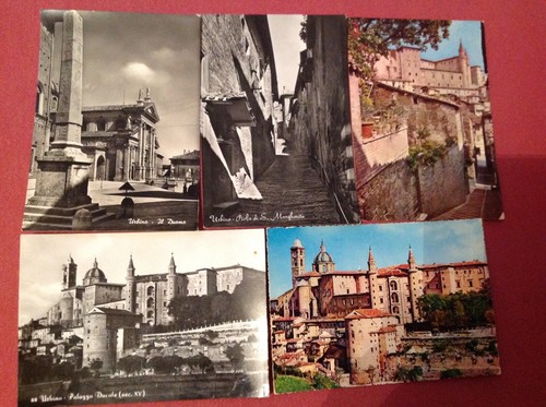 Lotto nove cartoline urbino - nove,
