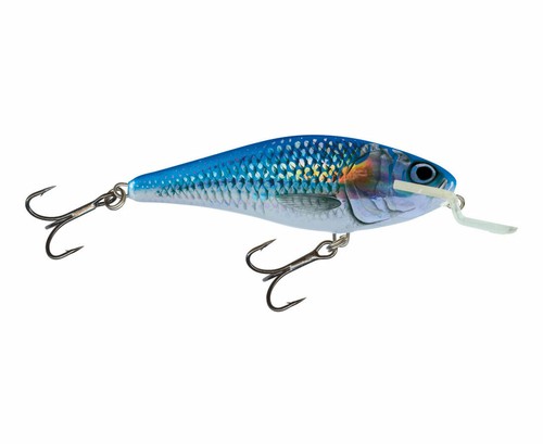 Salmo executor esche - salmo,