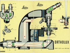 Leitz ortholux microscopio - leitz,