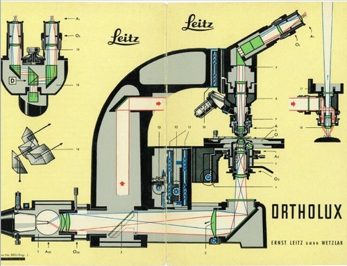 Leitz ortholux microscopio - leitz,