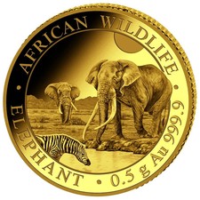 Somalia 20 Sh. 2026 Elefante fauna africana 0,5 grammi oro 999,9 proof