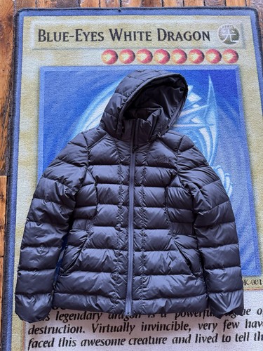The north face gotham parka - the,
