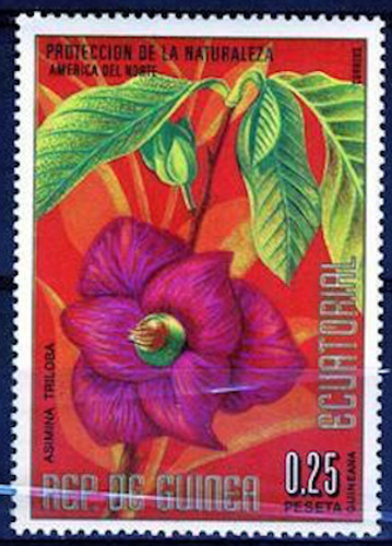 Guinea equatoriale mi425 mnh - #mi425,