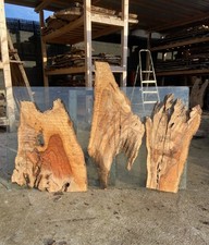 3 Tavole in legno di ulivo