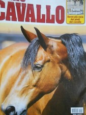 Il Mio Cavallo 2019 2 febbraio