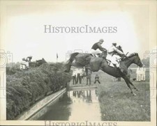 1943 Stampa Foto Cavalli Guida