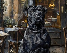 Elegante Corso in canna con