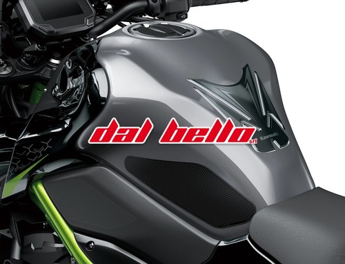 Protezione serbatoio z900 - serbatoio,