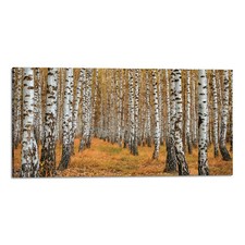 Quadro Stampa su Tela con