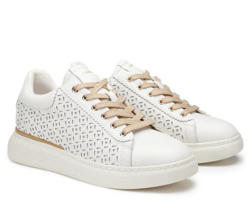 Sneakers alberto guardiani - alberto,
