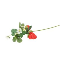 Attraenti Fiori Artificiali di