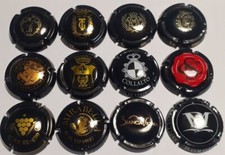 LOTTO DI n°12 CAPSULE