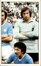 figurina calciatori Panini
