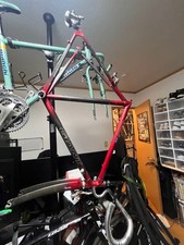 Carbonio gigante CFR-2