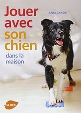 Jouer avec son chien dans la