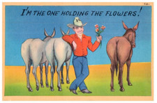 Sono Quello Che Tiene I Fiori