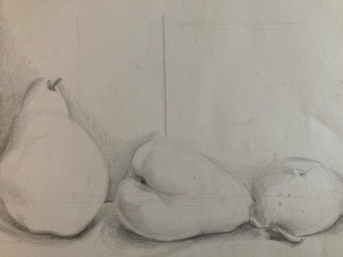 Disegno matita carta natura - disegno,