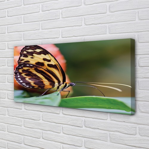 Quadro tela tulup 140x70 - quadro, su