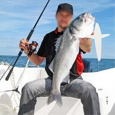 Migliora la tua esperienza di