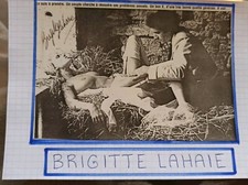 AUTOGRAPHE DE BRIGITTE LAHAIE