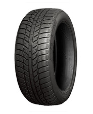 ROAD X RX FROST WH01 195/45