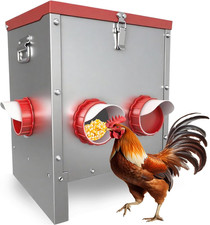 Mangiatoia per Galline