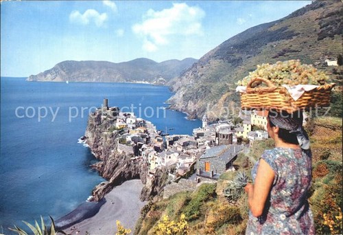 Vernazza tempo vendemmia - vernazza,