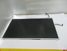 Samsung LTN133AT21 Schermo